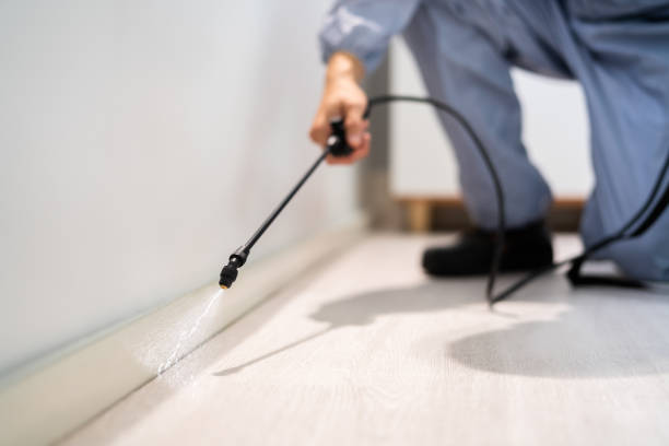 Bed Bug Pre-Treatment Preparation Assessment in Burnham