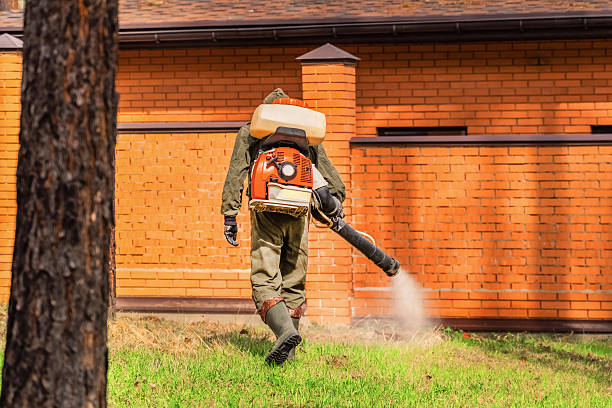 Bed Bug Clearance Verification and Documentation in Burnham